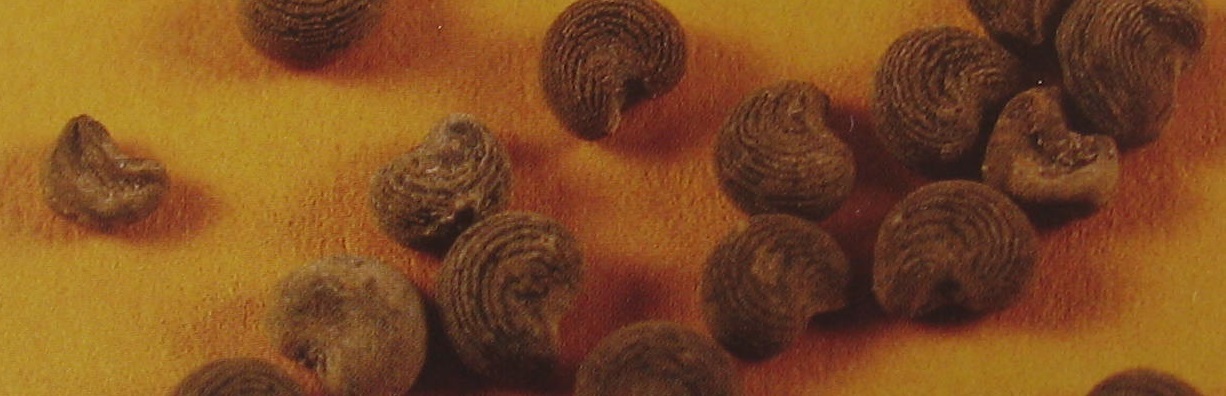 Ätherisches Moschusöl naturidentisch Ätherisches Moschusöl naturidentisch
