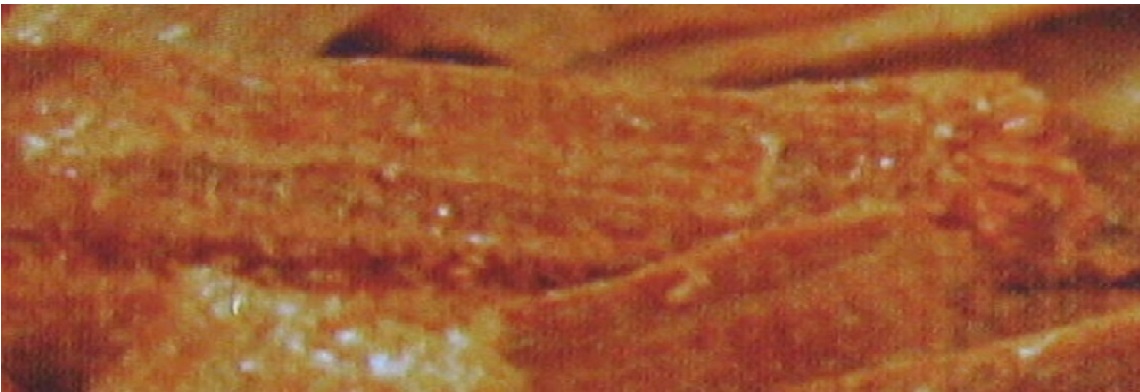 Parfumöl Oud (Parfumöl Adlerholz) Parfumöl Oud (Parfumöl Adlerholz)