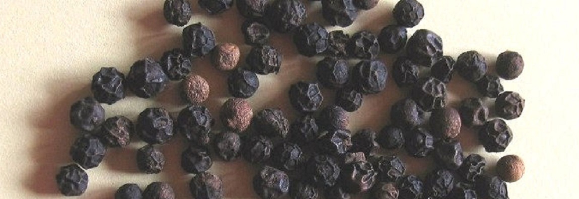 Ätherisches Pfefferöl, schwarz naturrein Ätherisches Pfefferöl, schwarz naturrein